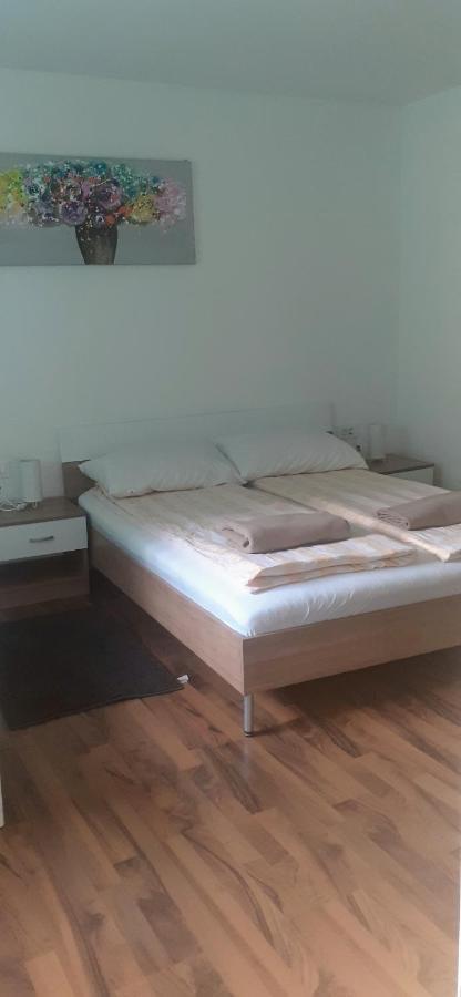 קרפינה Apartman Sara Vl. Franjo Klasic מראה חיצוני תמונה