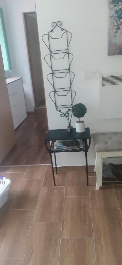 קרפינה Apartman Sara Vl. Franjo Klasic מראה חיצוני תמונה